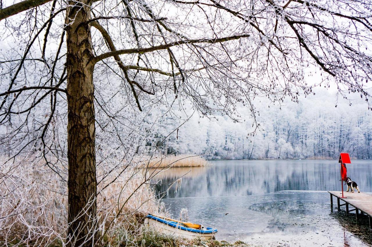 Gleboczek Vine Resort& Spa Вельки Глембожек Экстерьер фото