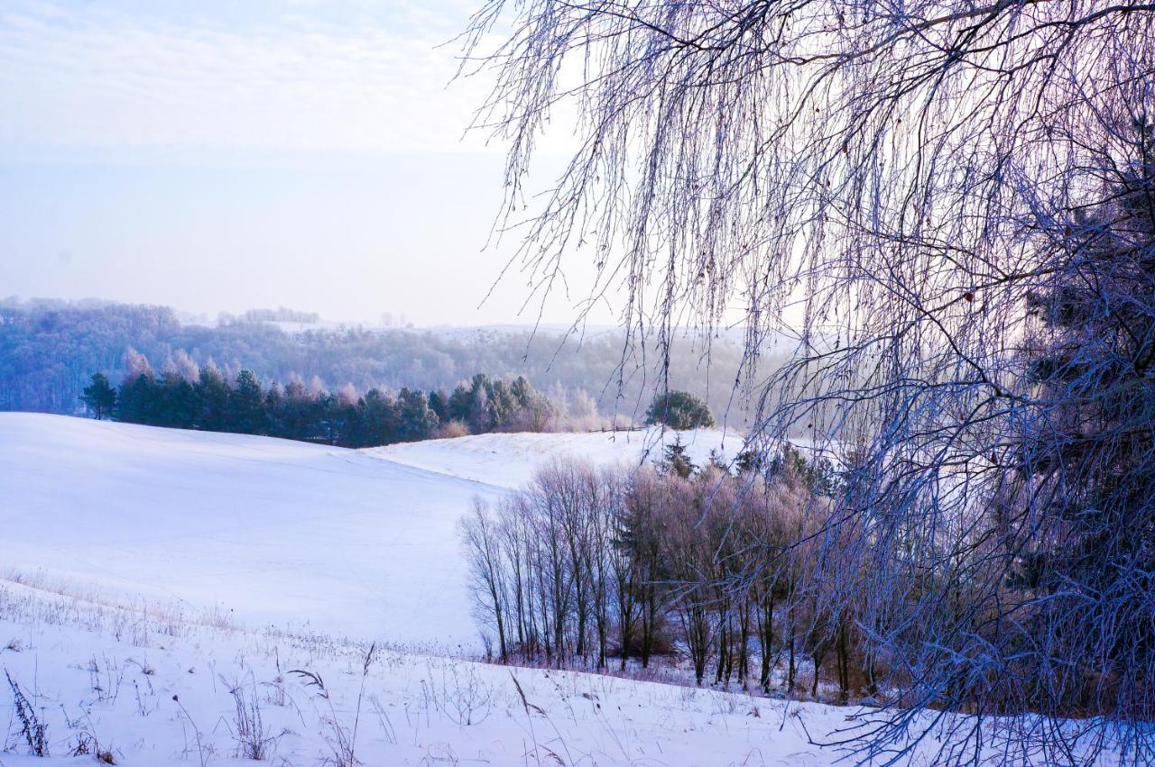 Gleboczek Vine Resort& Spa Вельки Глембожек Экстерьер фото